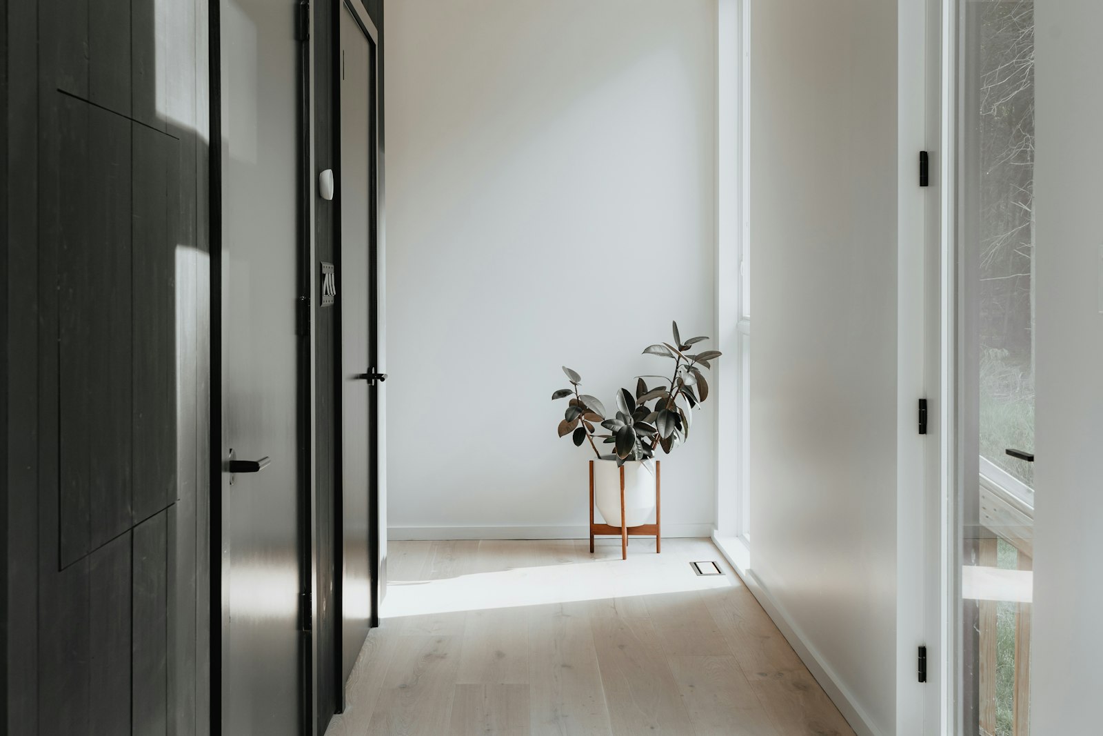 A room with a door and a plant in it — photo by Clay Banks on Unsplash