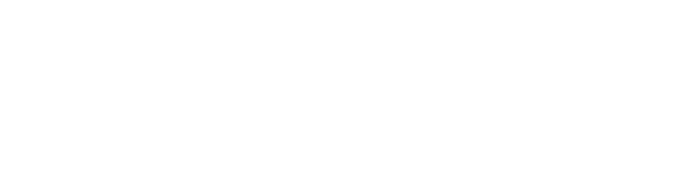 The Fort